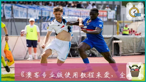 《澳客专业版使用教程来袭，全面提升操作效率的必备技巧》