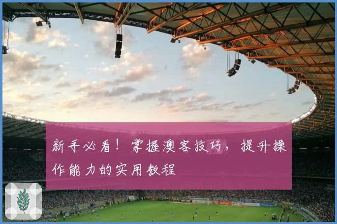 新手必看!掌握澳客技巧,提升操作能力的实用教程