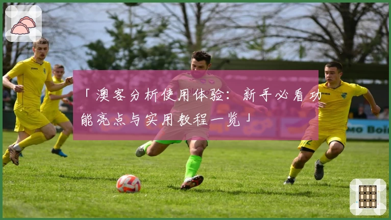 「澳客分析使用体验：新手必看功能亮点与实用教程一览」