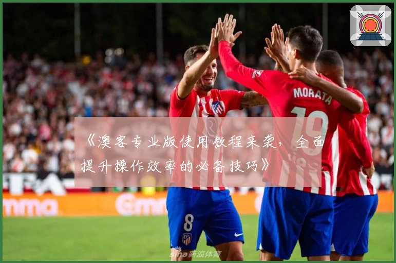 《澳客专业版使用教程来袭,全面提升操作效率的必备技巧》